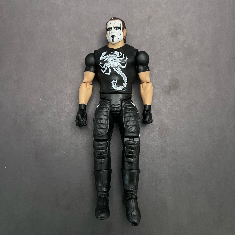 2015 Mattel WWE Basic STING Wrestling Figure